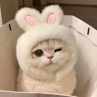 @eynyxq999