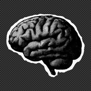 @factsbigbrain