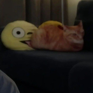 @Falconspark