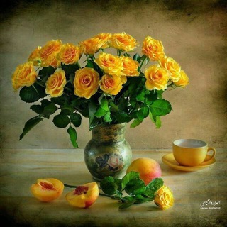 فلسفه و عشق