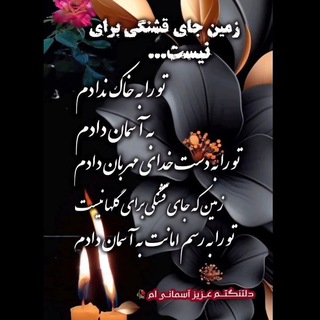 @fateme_lotfi