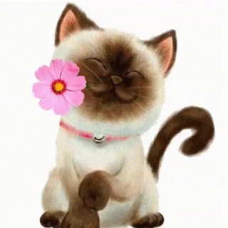 @Fauna_Flora