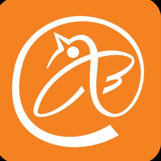 @feedbackfontanka