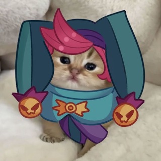 @feenchikkk