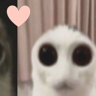 @ffayzo