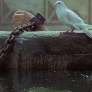 صور بلا حروف