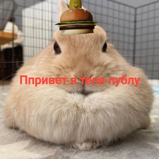 @FIGONIll