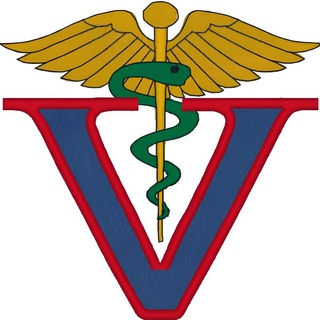 @film_vet