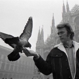 @filmhistoryblog