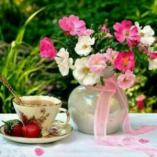 @Fkarimzade