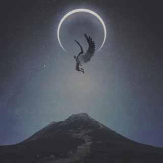 Flight of dreams😇💭