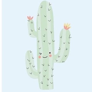 🌵🌷Pouna_cacti🌷🌵