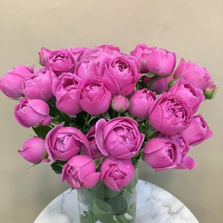 @flowerspion