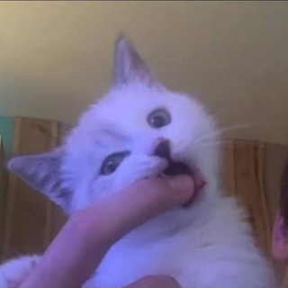 @floyd_com