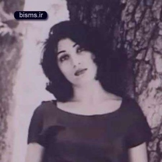 @forogheaziz