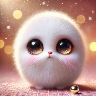 @fr11zX