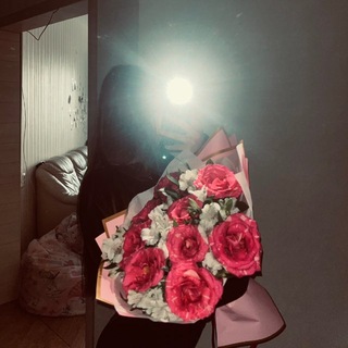 @fre4ll3