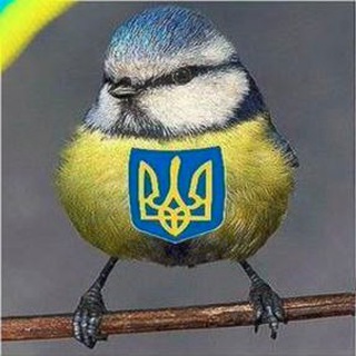 @freedom_of_speech_bot