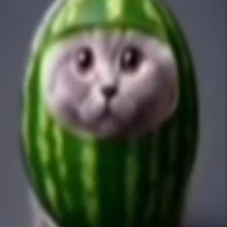 @frostLMxd