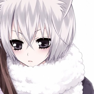 @fufinxx