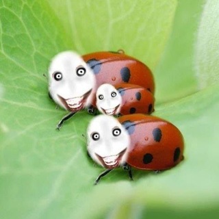 @Fukushimaji