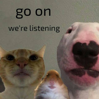 FUNKY MEMES