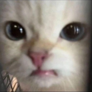 @G8883