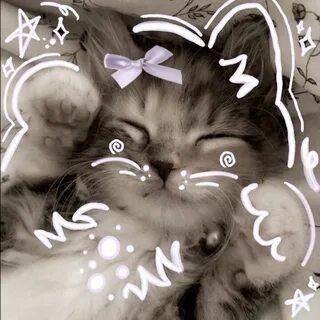 @GAMI_LE