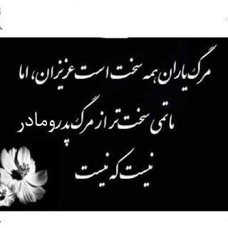 @gasdak2773