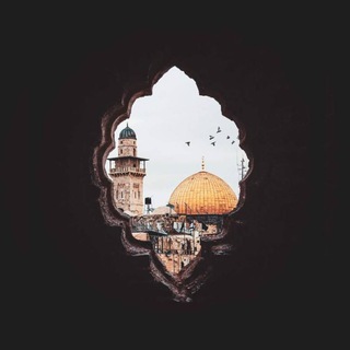 @Gazaaleafaf