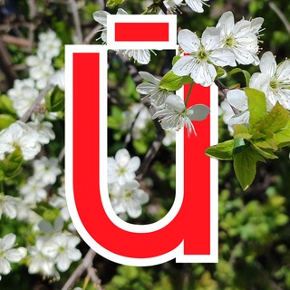 @gazeta_yoshkarola