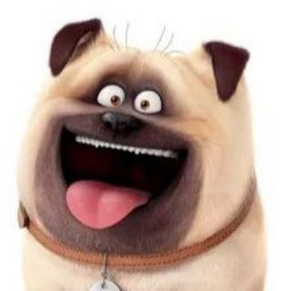@gazjshsb