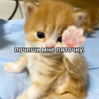 @gg_lol5