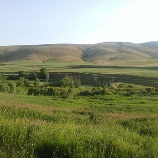 کانال رسمی 