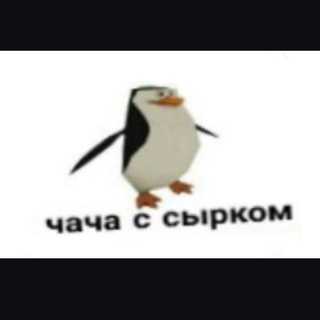 @glupisirok