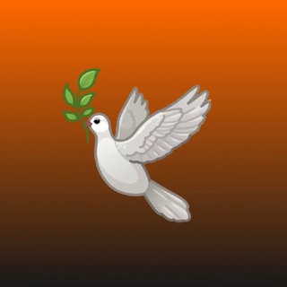 @goflyvpn_support