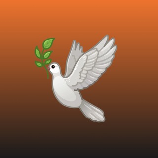 @goflyvpnbot