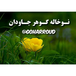 🍃 نوخــاله گوهـرِجــاودان 🍃