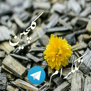 فیلم و سریالهای بی‌نظیر و عالی🤩🤩🤩