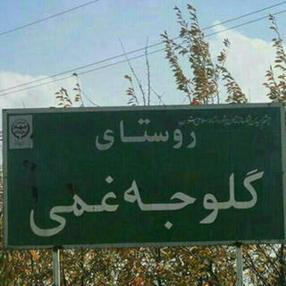@goloujeh_ghamii