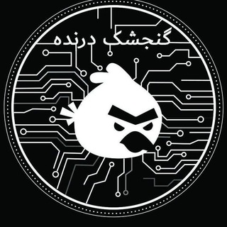گنجشک درنده