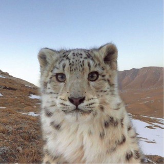 @goodsnep