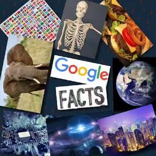 Google Facts™ [ ️@googlefactss🌎]