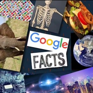 Google Facts™ [ ️@googlefactss🌎]