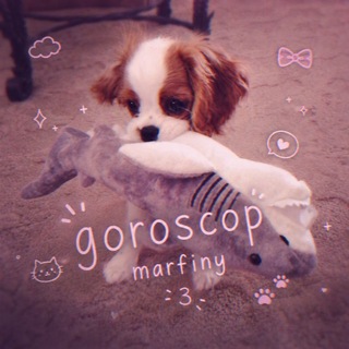 @goroscopikmarf