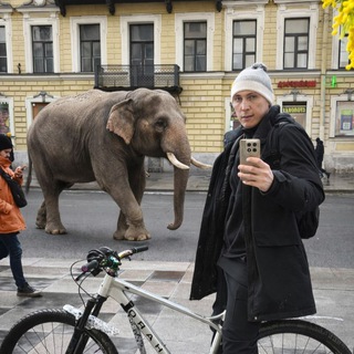 Владислав Викторович 🛩