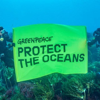 @GreenpeaceTelegram