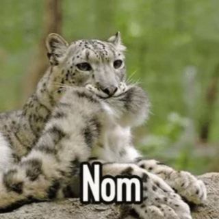 @grttlelrt