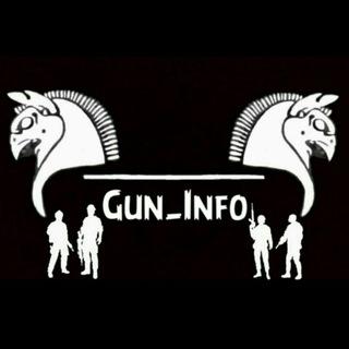 Gun_info