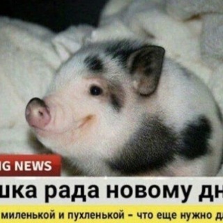 @Gur0per3h0d